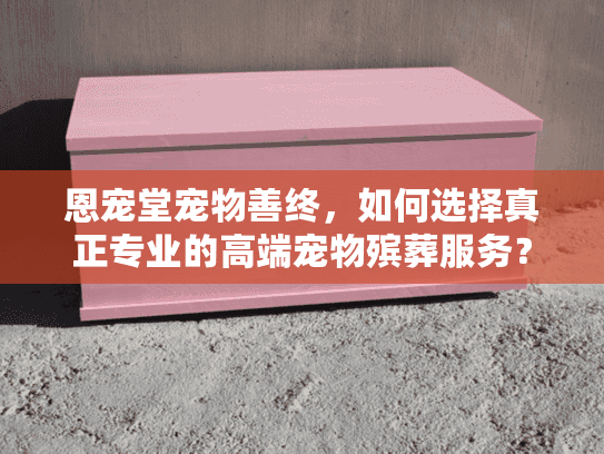 恩宠堂宠物善终，如何选择真正专业的高端宠物殡葬服务？