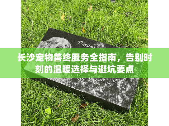 长沙宠物善终服务全指南，告别时刻的温暖选择与避坑要点