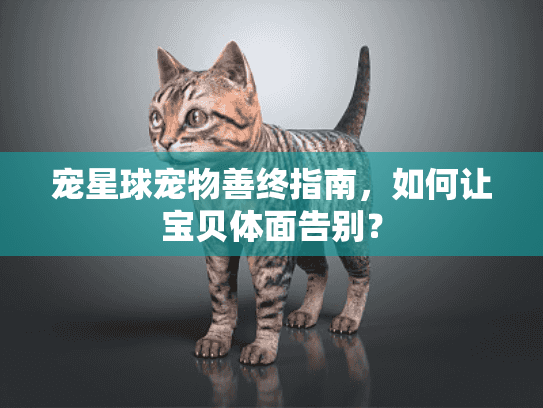 宠星球宠物善终指南，如何让宝贝体面告别？