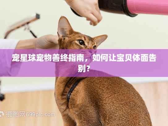 宠星球宠物善终指南，如何让宝贝体面告别？
