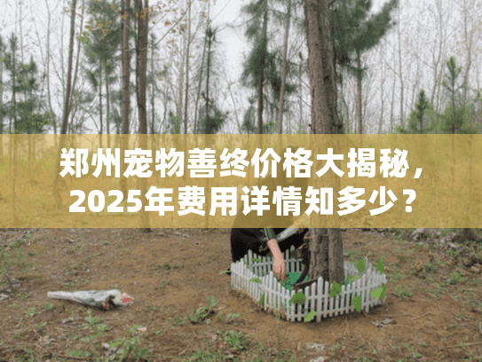郑州宠物善终价格大揭秘，2025年费用详情知多少？