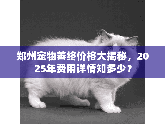 郑州宠物善终价格大揭秘，2025年费用详情知多少？