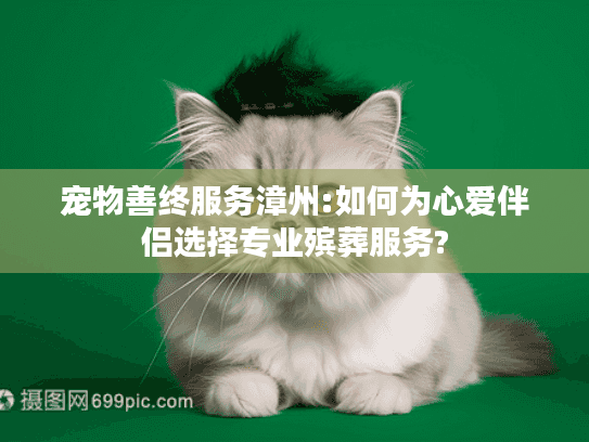 宠物善终服务漳州:如何为心爱伴侣选择专业殡葬服务?