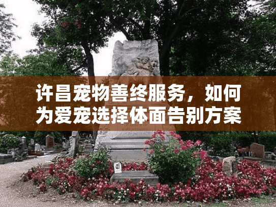 许昌宠物善终服务，如何为爱宠选择体面告别方案？