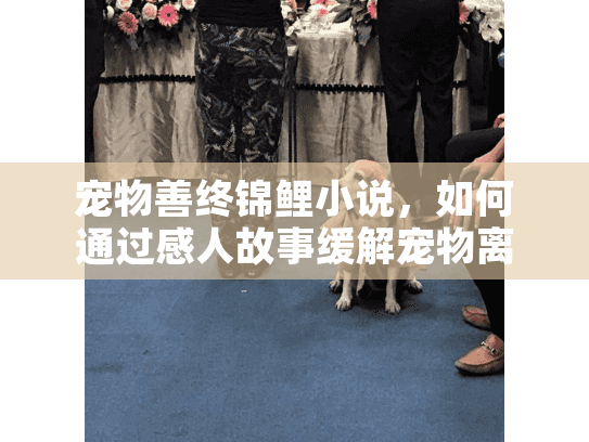 宠物善终锦鲤小说，如何通过感人故事缓解宠物离世的悲伤?