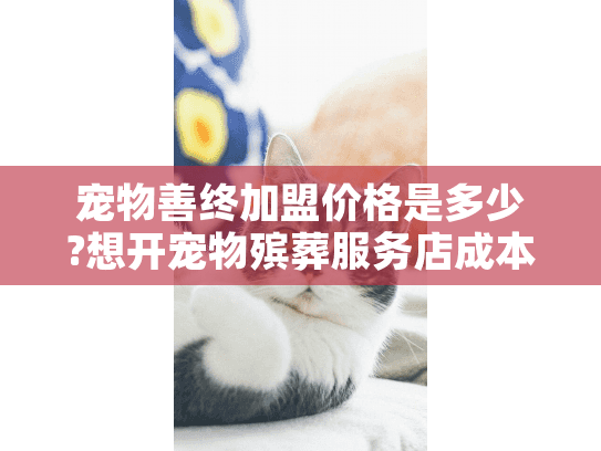 宠物善终加盟价格是多少?想开宠物殡葬服务店成本大揭秘