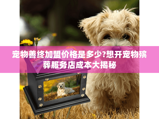 宠物善终加盟价格是多少?想开宠物殡葬服务店成本大揭秘