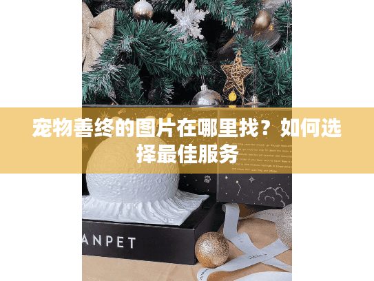宠物善终的图片在哪里找？如何选择最佳服务