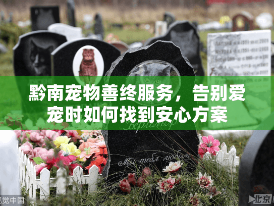黔南宠物善终服务，告别爱宠时如何找到安心方案