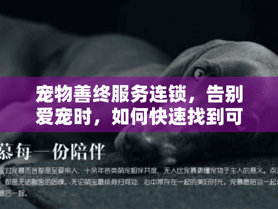 宠物善终服务连锁，告别爱宠时，如何快速找到可靠的全国连锁机构？