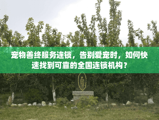 宠物善终服务连锁,告别爱宠时,如何快速找到可靠的全国连锁机构?
