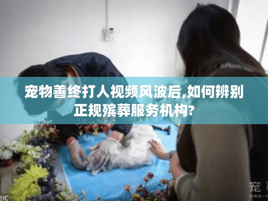 宠物善终打人视频风波后,如何辨别正规殡葬服务机构?