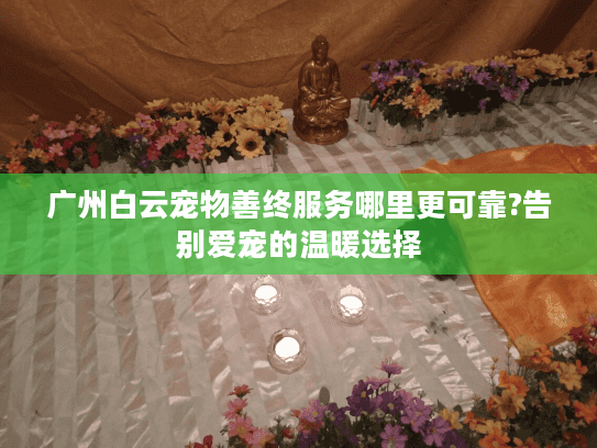 广州白云宠物善终服务哪里更可靠?告别爱宠的温暖选择
