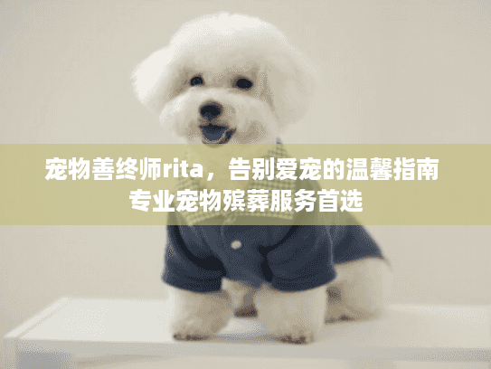 宠物善终师rita，告别爱宠的温馨指南 专业宠物殡葬服务首选