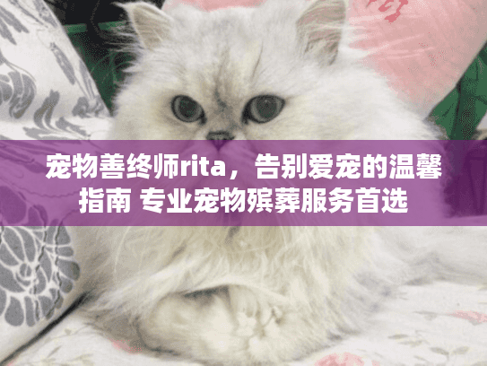 宠物善终师rita，告别爱宠的温馨指南 专业宠物殡葬服务首选