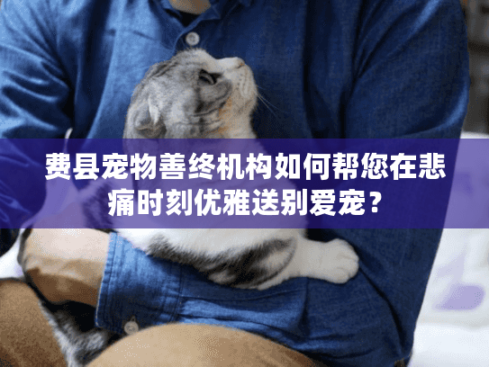 费县宠物善终机构如何帮您在悲痛时刻优雅送别爱宠？
