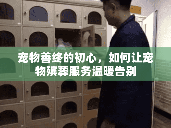宠物善终的初心，如何让宠物殡葬服务温暖告别
