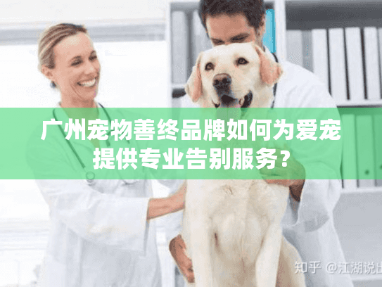 广州宠物善终品牌如何为爱宠提供专业告别服务？
