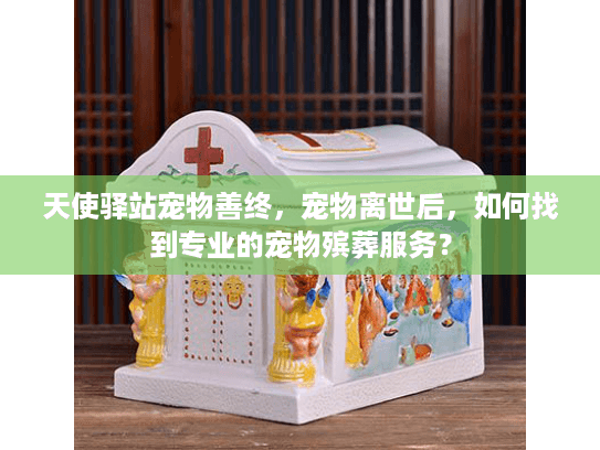 天使驿站宠物善终，宠物离世后，如何找到专业的宠物殡葬服务？