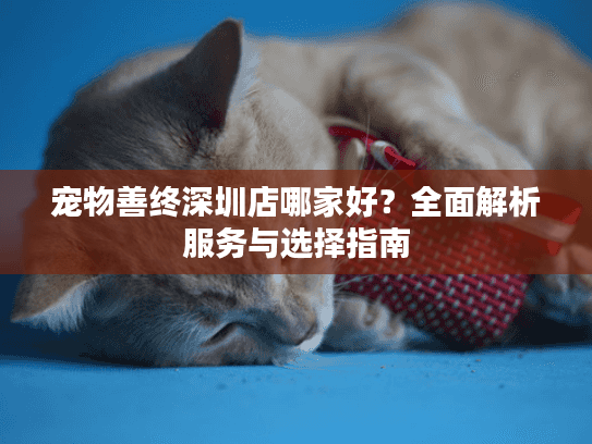 宠物善终深圳店哪家好？全面解析服务与选择指南