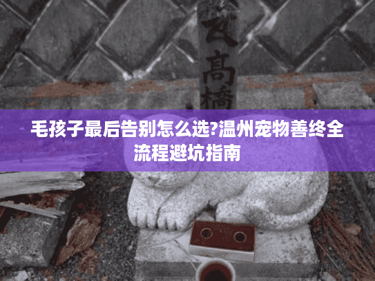 毛孩子最后告别怎么选?温州宠物善终全流程避坑指南