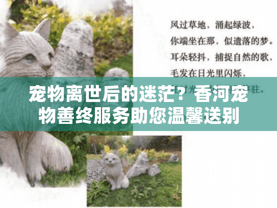 宠物离世后的迷茫？香河宠物善终服务助您温馨送别