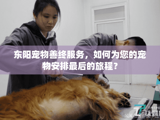 东阳宠物善终服务，如何为您的宠物安排最后的旅程？