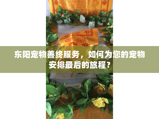 东阳宠物善终服务，如何为您的宠物安排最后的旅程？