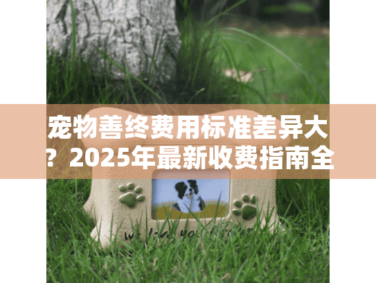 宠物善终费用标准差异大？2025年最新收费指南全解析