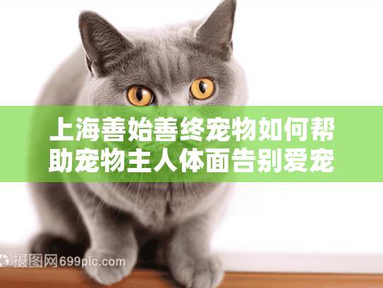 上海善始善终宠物如何帮助宠物主人体面告别爱宠？