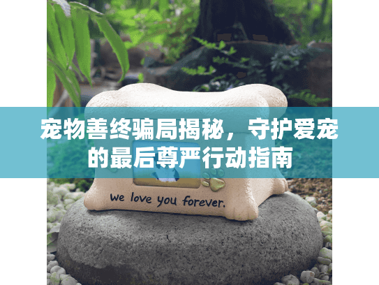宠物善终骗局揭秘，守护爱宠的最后尊严行动指南