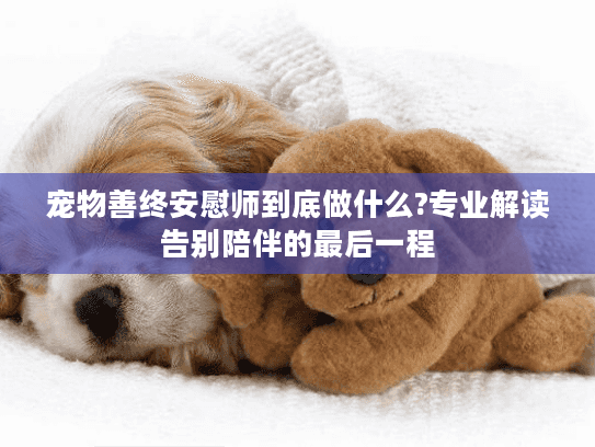 宠物善终安慰师到底做什么?专业解读告别陪伴的最后一程
