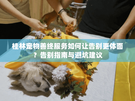 桂林宠物善终服务如何让告别更体面？告别指南与避坑建议
