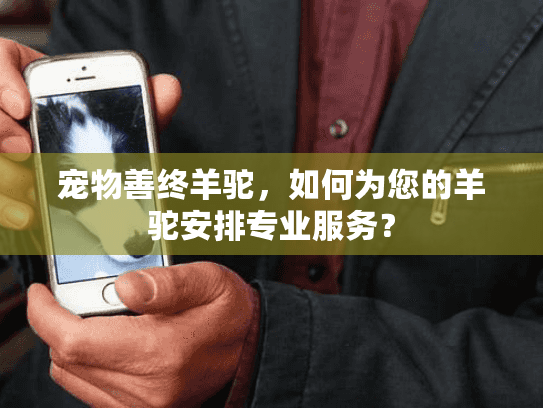 宠物善终羊驼，如何为您的羊驼安排专业服务？