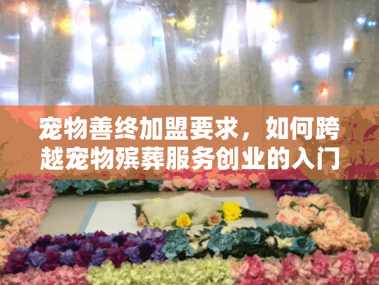 宠物善终加盟要求，如何跨越宠物殡葬服务创业的入门门槛？