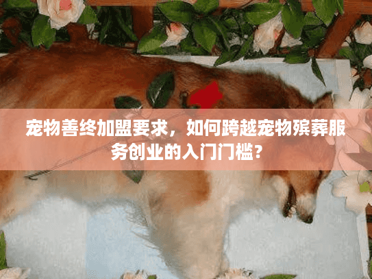 宠物善终加盟要求，如何跨越宠物殡葬服务创业的入门门槛？