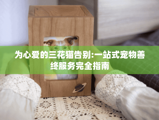 为心爱的三花猫告别:一站式宠物善终服务完全指南