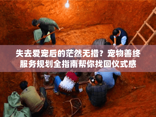 失去爱宠后的茫然无措？宠物善终服务规划全指南帮你找回仪式感