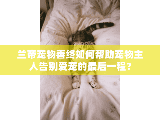 兰帝宠物善终如何帮助宠物主人告别爱宠的最后一程？