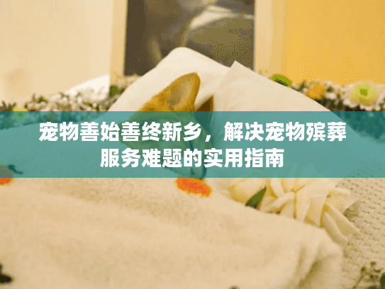 宠物善始善终新乡，解决宠物殡葬服务难题的实用指南