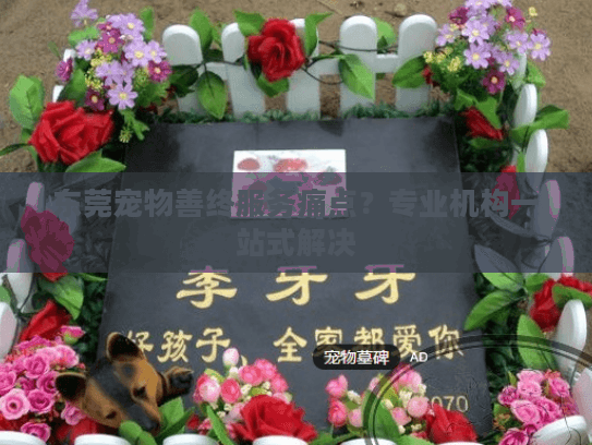 东莞宠物善终服务痛点？专业机构一站式解决