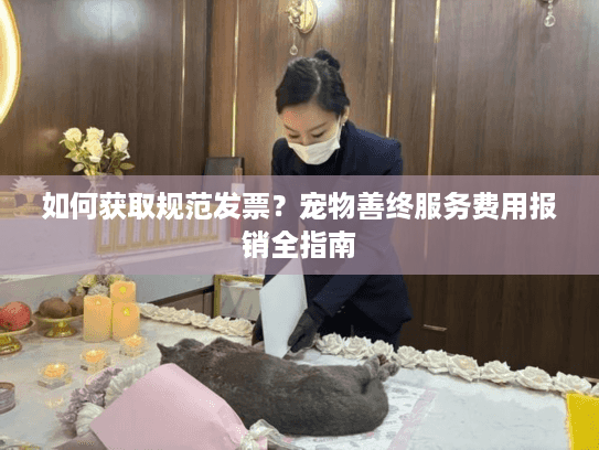 如何获取规范发票？宠物善终服务费用报销全指南