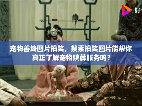 宠物善终图片搞笑，搜索搞笑图片能帮你真正了解宠物殡葬服务吗？