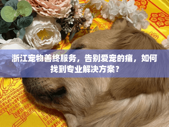 浙江宠物善终服务，告别爱宠的痛，如何找到专业解决方案？