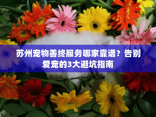 苏州宠物善终服务哪家靠谱？告别爱宠的3大避坑指南
