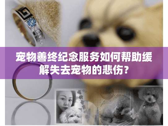 宠物善终纪念服务如何帮助缓解失去宠物的悲伤？
