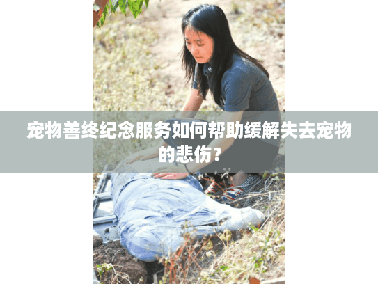 宠物善终纪念服务如何帮助缓解失去宠物的悲伤？