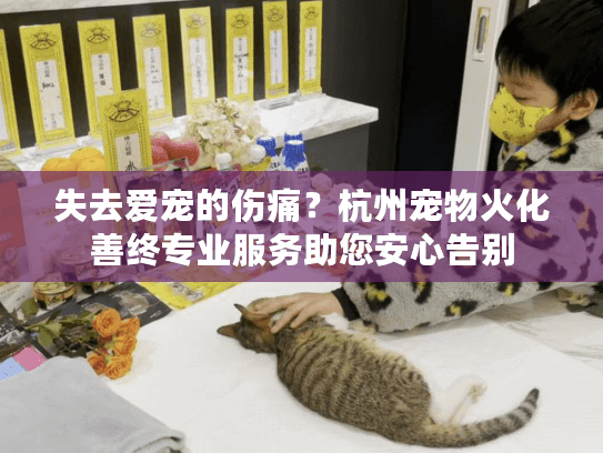 失去爱宠的伤痛？杭州宠物火化善终专业服务助您安心告别