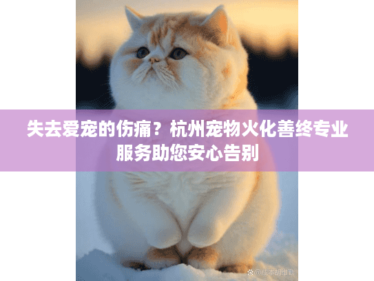 失去爱宠的伤痛？杭州宠物火化善终专业服务助您安心告别