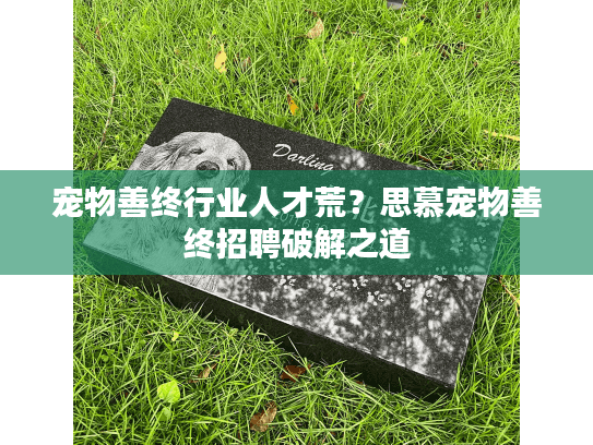 宠物善终行业人才荒?思慕宠物善终招聘破解之道